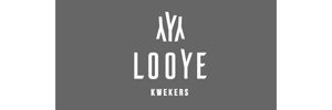 Looye logo